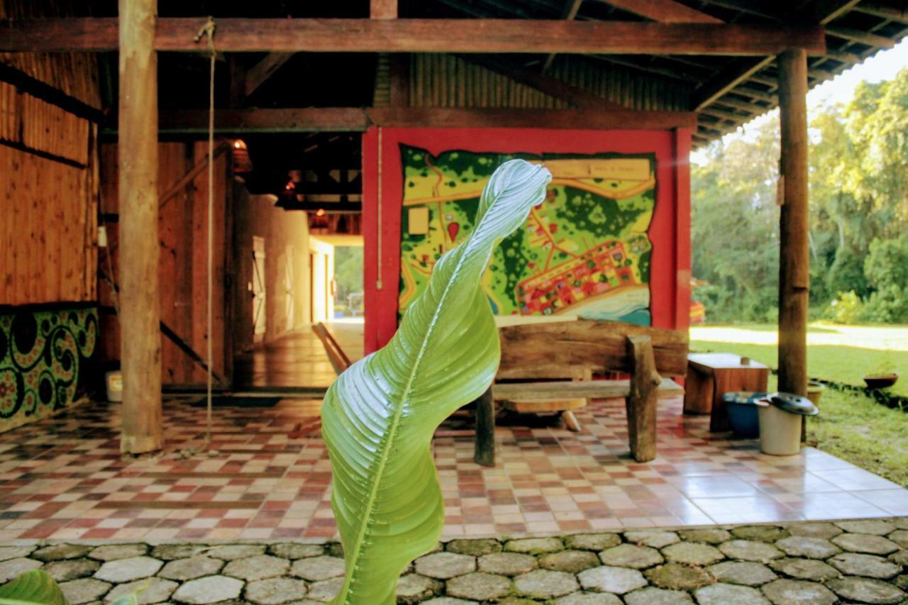 Hostel Fazenda Itamambuca Albergue